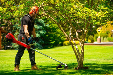 Kosa spalinowa Cedrus WK430X może pracować na trójzębnej tarczy tnącej