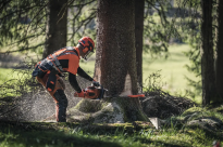 Husqvarna 572 XP Pilarka spalinowa łańcuchowa 966733118 966 73 31‑18 do profesjonalnej pracy w lesie liściastym