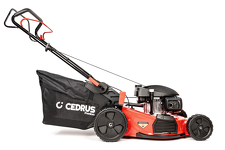 Cedrus Premium LP53S-H Kosiarka spalinowa - 2