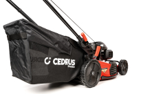 Cedrus Premium LP53S-H Kosiarka spalinowa - 5