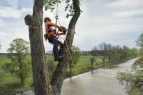 Husqvarna T540 XP Mark III Pilarka spalinowa łańcuchowa 970517914 970 51 79‑14 zapewnia doskonałą wydajność cięcia z szybkim przyspieszeniem
