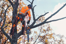 Husqvarna 550i XPG Pilarka akumulatorowa łańcuchowa 970746015 zapewnia optymalną wydajność przy minimalnym obciążeniu ciała