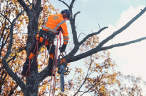 Husqvarna 550i XPG Pilarka akumulatorowa łańcuchowa 970746015 zapewnia optymalną wydajność przy minimalnym obciążeniu ciała