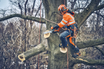 Husqvarna Uprząż wspinaczkowa dla arborystów - 10