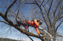 Husqvarna Uprząż wspinaczkowa dla arborystów - 11