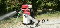 Skuteczne oddzielanie orzechów od kamieni i brudu Cifarelli V1200B przez wylot powietrza z leja zasypowego