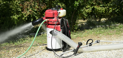 Skuteczne oddzielanie orzechów od kamieni i brudu Cifarelli V1200B przez wylot powietrza z leja zasypowego