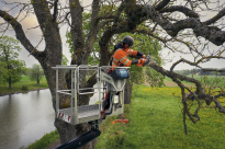 Husqvarna 540 XP Mark III Pilarka spalinowa łańcuchowa 970518114 970 51 81‑14 dla drwali i arborystów