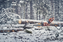 Husqvarna 560 XPG Mark II Pilarka spalinowa łańcuchowa 970656915 970 65 69‑15 Wyposażona w funkcję AutoTune