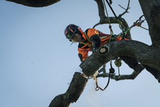 Husqvarna T540i XPG Mark III Pilarka akumulatorowa łańcuchowa z podgrzewanymi uchwytami 970568114 970 56 81‑14 umożliwia szybkie, płynne cięcie