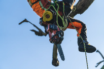Husqvarna T540i XPG Mark III Pilarka akumulatorowa łańcuchowa 970568114 970 56 81‑14 Zaczep linki ułatwia wciąganie pilarki wysoko na drzewo