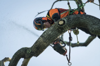 Husqvarna T540i XPG Mark III Pilarka akumulatorowa łańcuchowa z podgrzewanymi uchwytami 970568114 970 56 81‑14 zapewnia ciepło podczas zimnej pogody