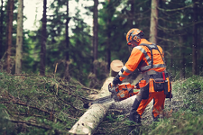 Husqvarna 564 XPG Piła spalinowa łańcuchowa 970711618