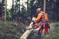 Husqvarna 564 XPG Piła spalinowa łańcuchowa 970711618