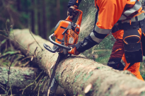 Husqvarna 564 XPG Piła spalinowa łańcuchowa 970711618 Podniesiony znacznik do ścinki
