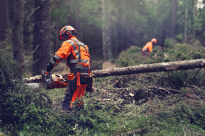 Husqvarna 564 XPG Pilarka spalinowa łańcuchowa z wtryskiem paliwa i podgrzewanymi uchwytami - 8