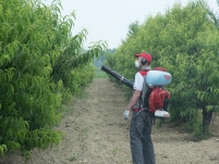 Cifarelli M1200 Opryskiwacz spalinowy, duży zasięg w pionie i w poziomie